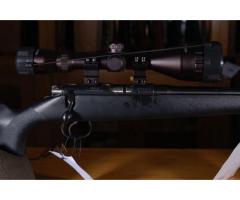 BRNO 452 Silhouette .17 Hornady Magnum Rimfire (.17HMR)