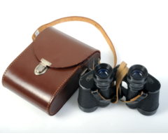 Preowned Carl Zeiss Jena Deltrintem 8×30 Binoculars (9)