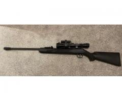 Pellpax Reaper Night Hunter .22 Long Rifle