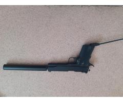 Walther gold star .22