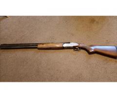 Rizzini, E. 12 bore