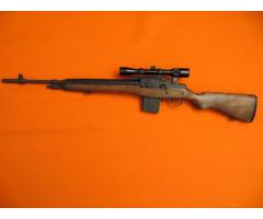 Springfield M1A Caliber .308
