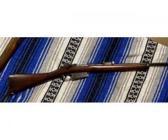 Argentine mauser model 1891