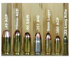 Gun Cartridges