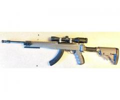 Ruger 10-22 