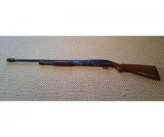 Winchester 12 