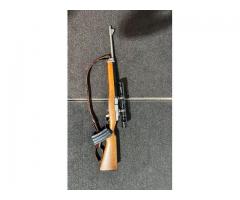 Ruger Stainless steel ranch rifle