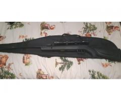 Gamo Whisper sting .22 Long